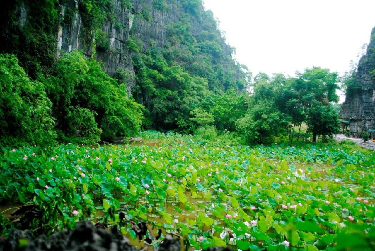 Tamcoc Viet Tan Homestay & Garden Ninh Binh Exterior foto